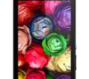 Sony introduces Xperia ZR waterproof smartphone