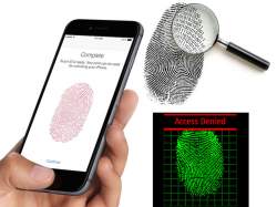 Fingerprint scanner supported smartphones