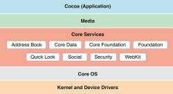 What is Software ecosystem of Apple and Google